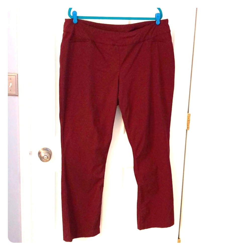 Plus size Pull on Pants NWOT